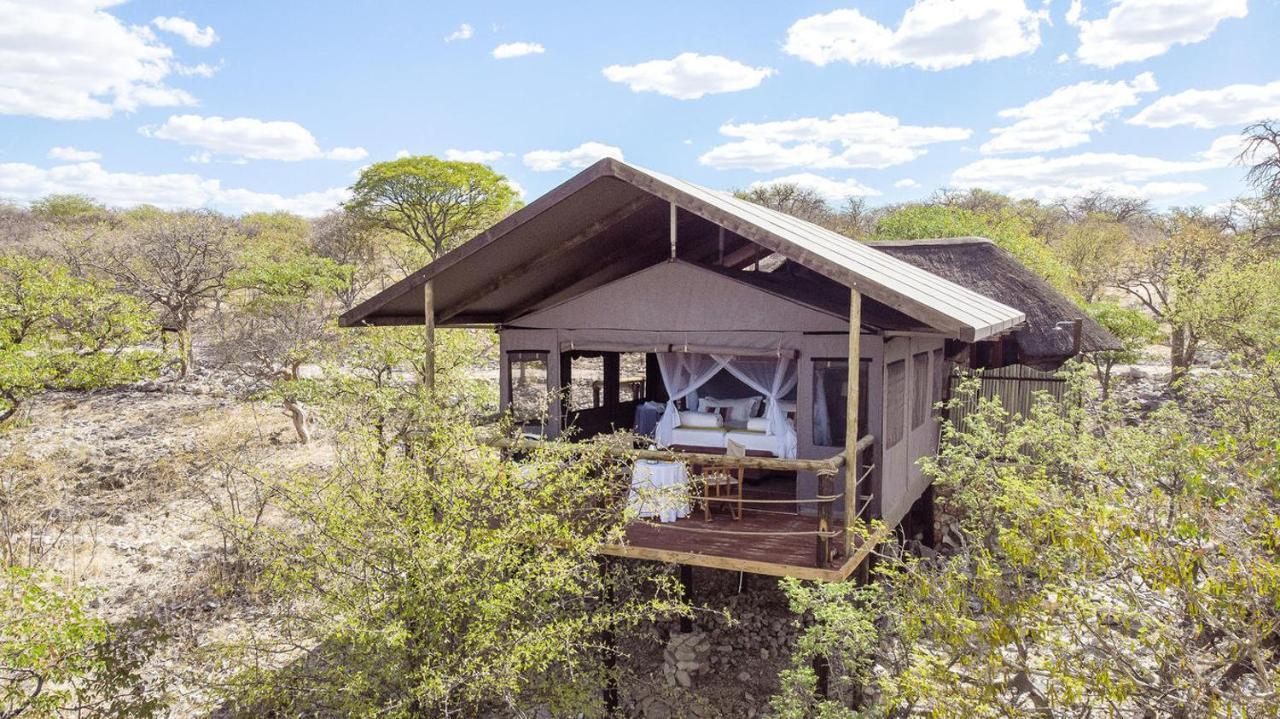 Eagle Tented Lodge & Spa Окаукуэджо Экстерьер фото